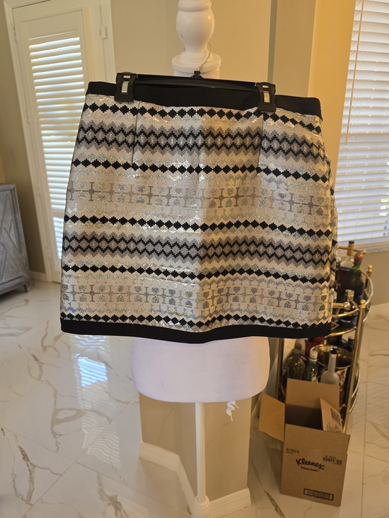 TCEC Dresses & Skirts - TCEC Silver Sequin Mini Skirt with Black Trim